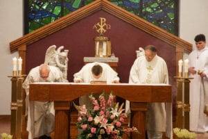 dy2a7944_33829357668_o