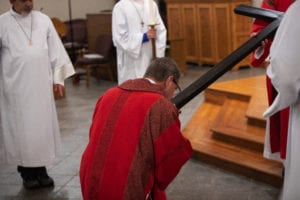 dy2a8166_47653705272_o