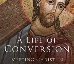 a-life-of-conversion-cover-art