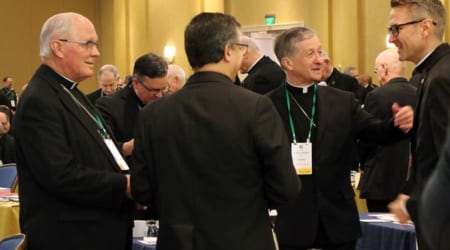 USCCB_6_13_General_assembly_shot_7