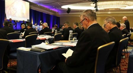 USCCB_general_assembly_June_13_2019_Credit_Kate_Veik_CNA