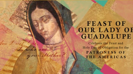 OLO_Guadalupe_web_banner