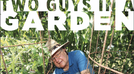 Screen Shot 2020-08-20 at 9.06.16 AM