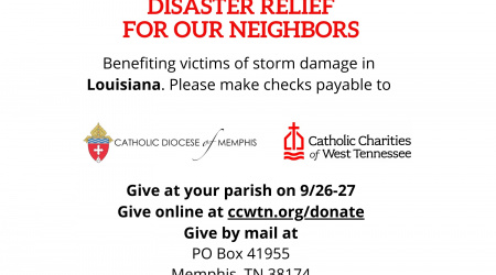 CDOMSpecialCollectionBulletinEngSept2020