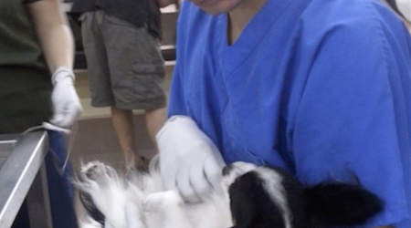 SFADavidCervettiPhoto