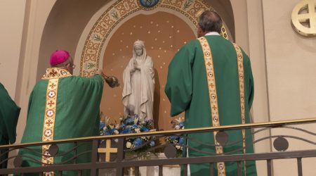 53277443307_96317dc9e1_o