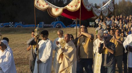 53309886171_0d87c1991f_o