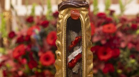 53584418565_6905d48c4c_o