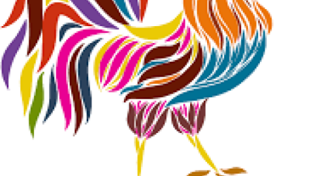 q8iakkngcif8w1s5oowf2132fwl