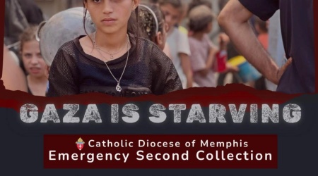 558093573_1260555596104405_391996328987209662_n