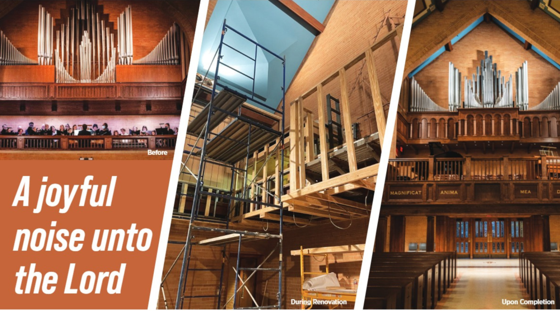 Untitled design (10)